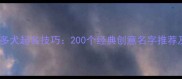 黑色拉布拉多犬起名技巧200个经典创意名字推荐及注意事项