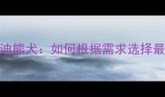 金毛寻回犬VS泰迪熊犬如何根据需求选择最适合的伴侣犬