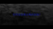 拉布拉多跟土狗的区别
