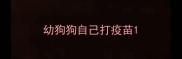 幼狗狗自己打疫苗