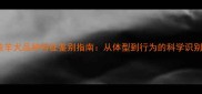 边境牧羊犬品种特征鉴别指南从体型到行为的科学识别方法