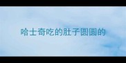 哈士奇吃的肚子圆圆的