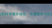 两个月边牧科学喂养指南关键营养与饮食禁忌全
