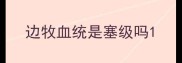 边牧血统是塞级吗