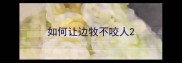 如何让边牧不咬人