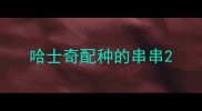 哈士奇配种的串串