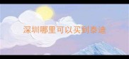 深圳哪里可以买到泰迪