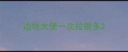 边牧大便一次拉很多