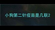 小狗第二针疫苗是几联