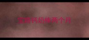宝路钙奶棒两个月