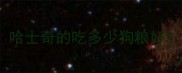 哈士奇的吃多少狗粮好