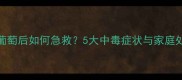 狗狗误食葡萄后如何急救5大中毒症状与家庭处理方法全