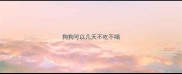 狗狗可以几天不吃不喝