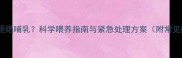 小狗新生儿拒绝哺乳科学喂养指南与紧急处理方案附常见问题解答