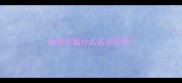 给金毛起什么名字好听