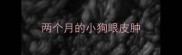 两个月的小狗眼皮肿