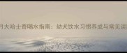 两个月大哈士奇喝水指南幼犬饮水习惯养成与常见误区全