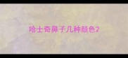 哈士奇鼻子几种颜色