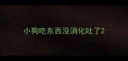 小狗吃东西没消化吐了