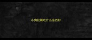 小狗拉稀吃什么东西好