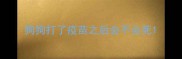 狗狗打了疫苗之后会不会死