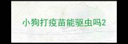 小狗打疫苗能驱虫吗