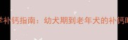 不同月龄狗狗科学补钙指南幼犬期到老年犬的补钙时间表与注意事项