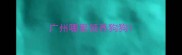 广州哪里领养狗狗