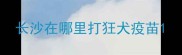 长沙在哪里打狂犬疫苗