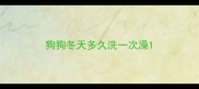 狗狗冬天多久洗一次澡