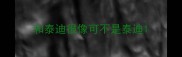 和泰迪很像可不是泰迪