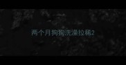 两个月狗狗洗澡拉稀