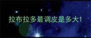 拉布拉多最调皮是多大