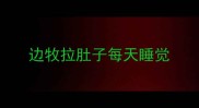 边牧拉肚子每天睡觉