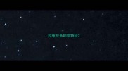 拉布拉多胡须特征