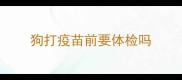 狗打疫苗前要体检吗