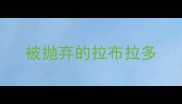 被抛弃的拉布拉多