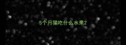 5个月猫吃什么水果