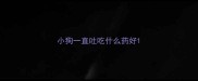 小狗一直吐吃什么药好
