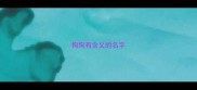 狗狗有含义的名字