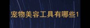 宠物美容工具有哪些