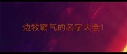 边牧霸气的名字大全