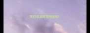 狗打疫苗在宠物医院