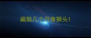 藏獒几个月像狮头