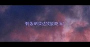 剩饭剩菜边牧能吃吗