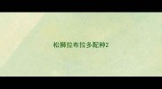松狮拉布拉多配种