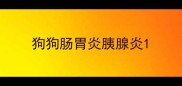 狗狗肠胃炎胰腺炎