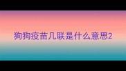狗狗疫苗几联是什么意思