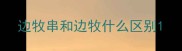 边牧串和边牧什么区别