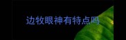 边牧眼神有特点吗